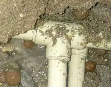 新会测漏水多少钱