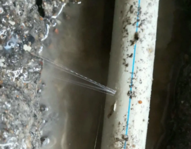 新会测漏水哪家好