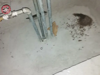 新会卫生间测漏水价格明细