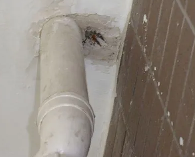 新会漏水检测哪家好